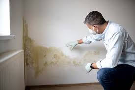 Best Comprehensive Air Testing for Mold Contaminants  in Kentwood, LA